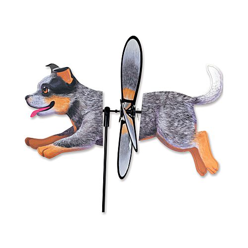 24706_Australian-Cattle-Dog-petite-spinner
