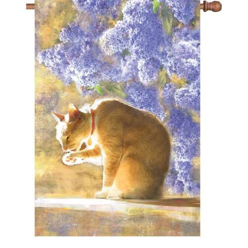 57042_Bathing-Tabby-standard-size-cat-flag-28-x-40