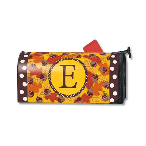 01059E_Fall-Follies-Monogram-E-magnetic-mailbox-cover