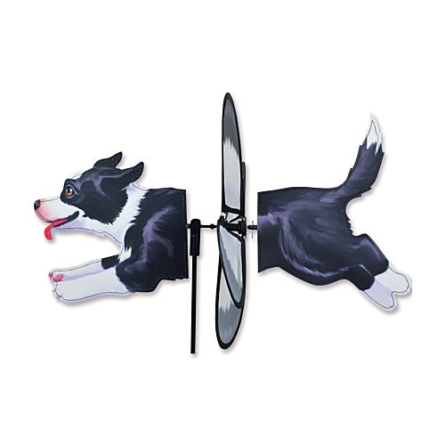 24973_Border-Collie-petite-yard-spinner