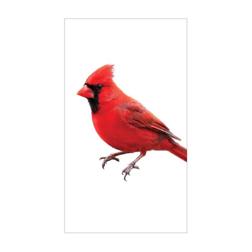 4659SS_Cardinal-Signature-Sign-icon-address-tile-3-x-5