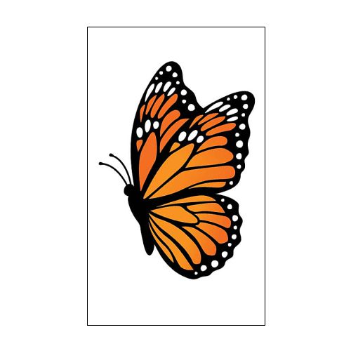 5433SS_Butterfly-Signature-Sign-pvc-icon-address-tile