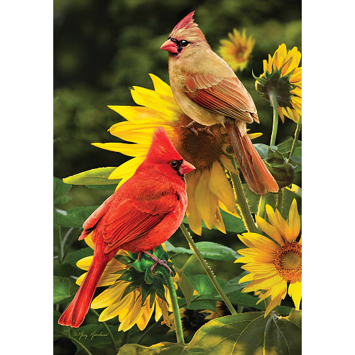 5598FL_Cardinals-standard-size-summer-flag