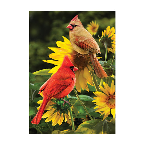 5598FM_Cardinals-garden-size-summer-flag