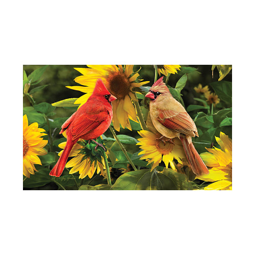 5598M_Cardinals-indoor-outdoor-summer-doormat