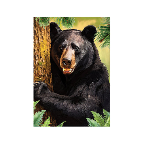 Black bear peeking from behind a tree in a forest setting