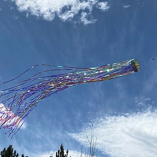 9064_Iridescent-holographic-mylar-windsock-51inch-windy