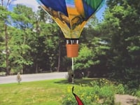 PARROTS 19" Pop Up Hot Air Balloon Spinner