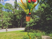 BIRDS OF THE SOUTHWEST 19" Pop Up Hot Air Balloon Spinner