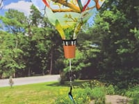 BIRDS OF THE SOUTHEAST 19" Pop Up Hot Air Balloon Spinner