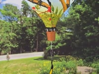 BIRDS OF THE GREAT PLAINS 19" Pop Up Hot Air Balloon Spinner