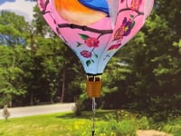BLUEBIRD AND PLUM BLOSSOM 19" Pop Up Hot Air Balloon Spinner
