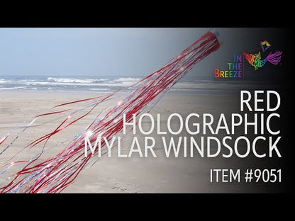 RED Holographic Mylar Windsock - 51" Long