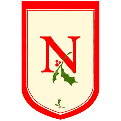 n-holiday-monogram-letter-n-applique-standard-flag-28-x-44