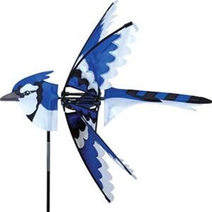 eastern-blue-jay-25-motion-art-spinner